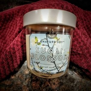 NEW Nature's Soy Sugar Blossom Candle, 4 Oz.